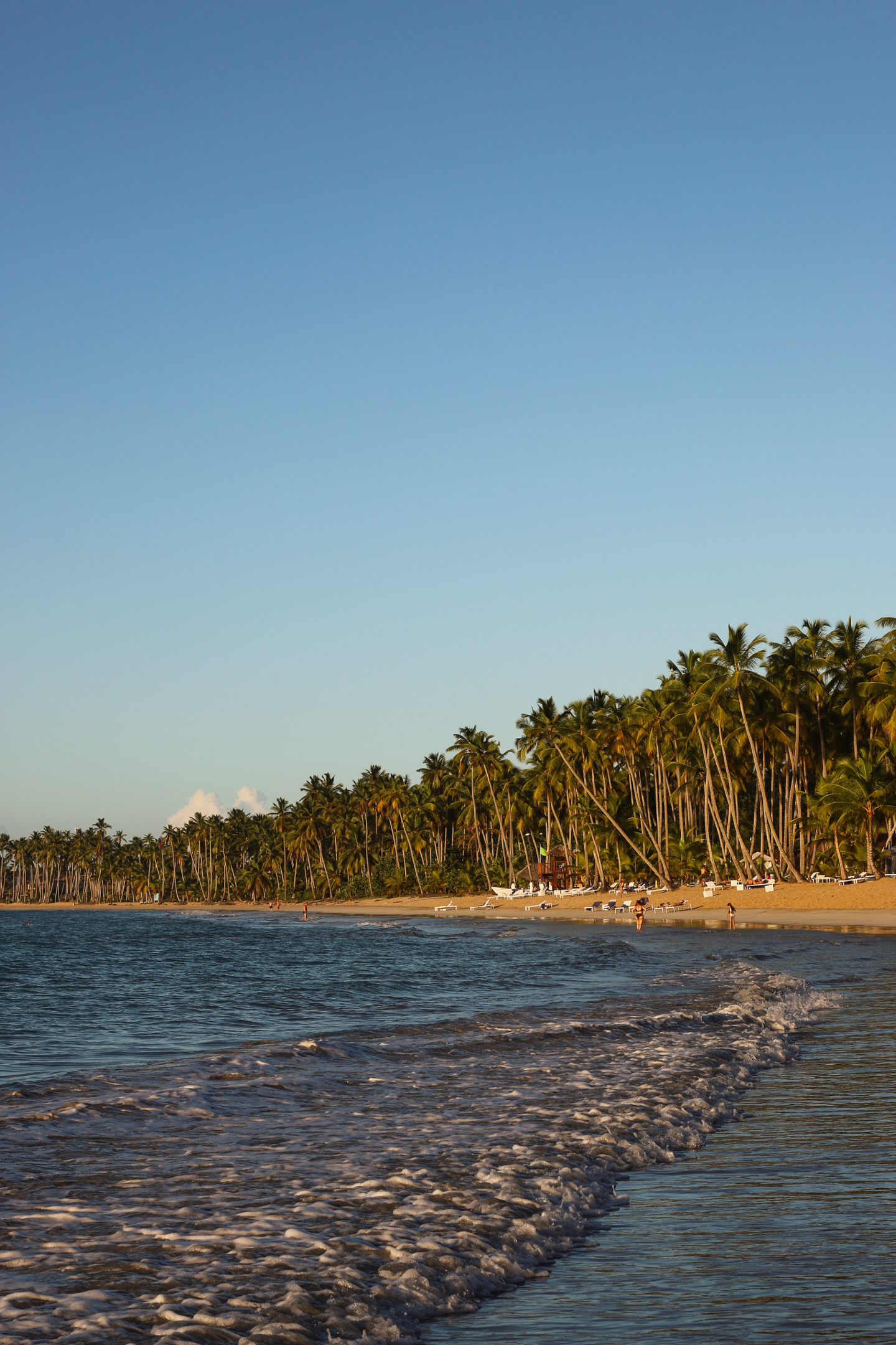 Viva Wyndham Samaná